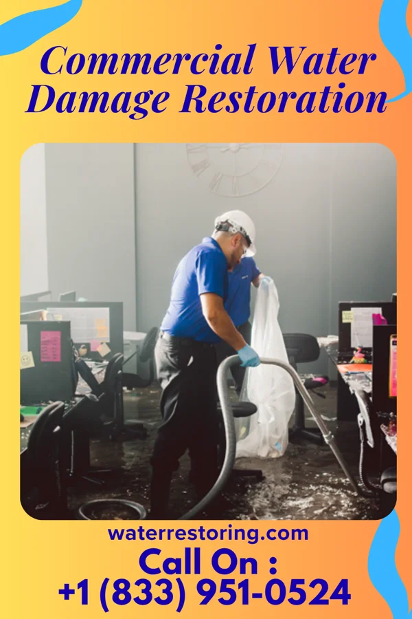 Commercial Water Damage Restoration in Black Hammock, FL