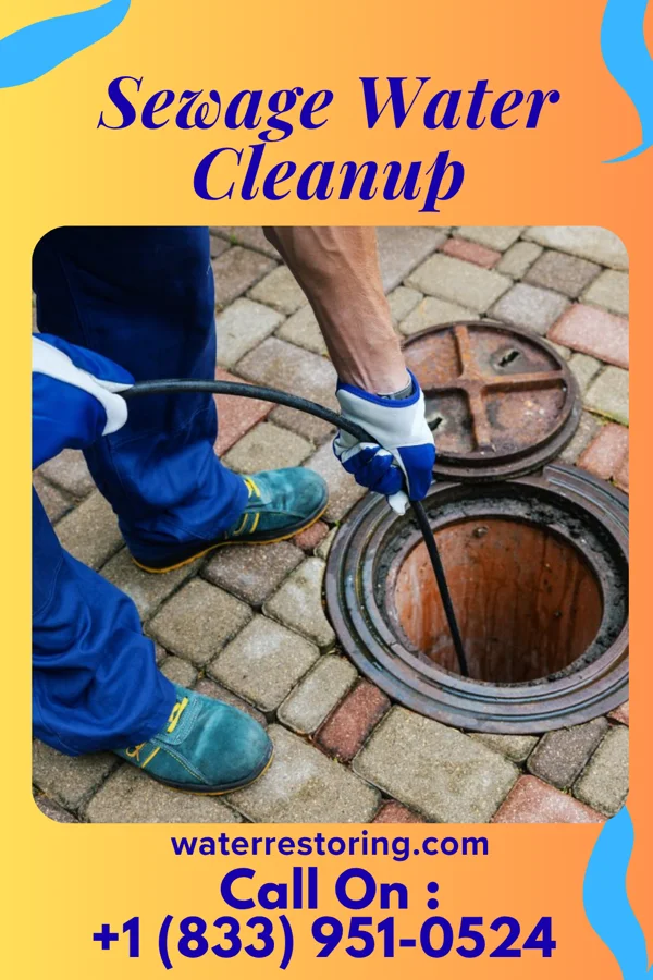 Sewage Water Cleanup in Black Hammock, FL
